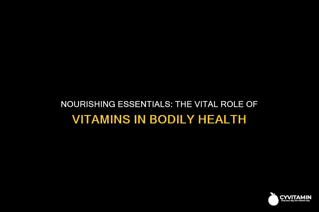why are vitamins important to the body