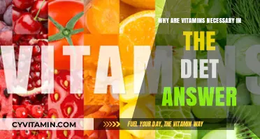 Essential Nutrients: Unveiling the Importance of Vitamins in Your Diet