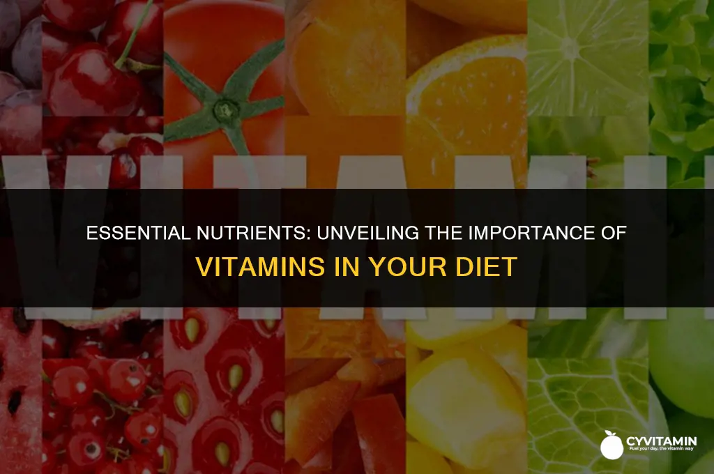 why are vitamins necessary in the diet answer
