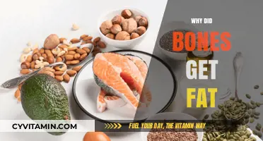Unraveling the Mystery: Why Bones Get Fat and What It Means for Your Health