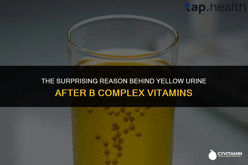 why does b complex vitamin make urine yellow