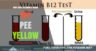 The Surprising Reason Behind Yellow Pee After Vitamin B Intake