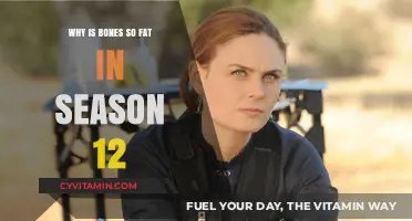 Unraveling the Mystery: Why Bones' Brennan Appears Fuller in Season 12