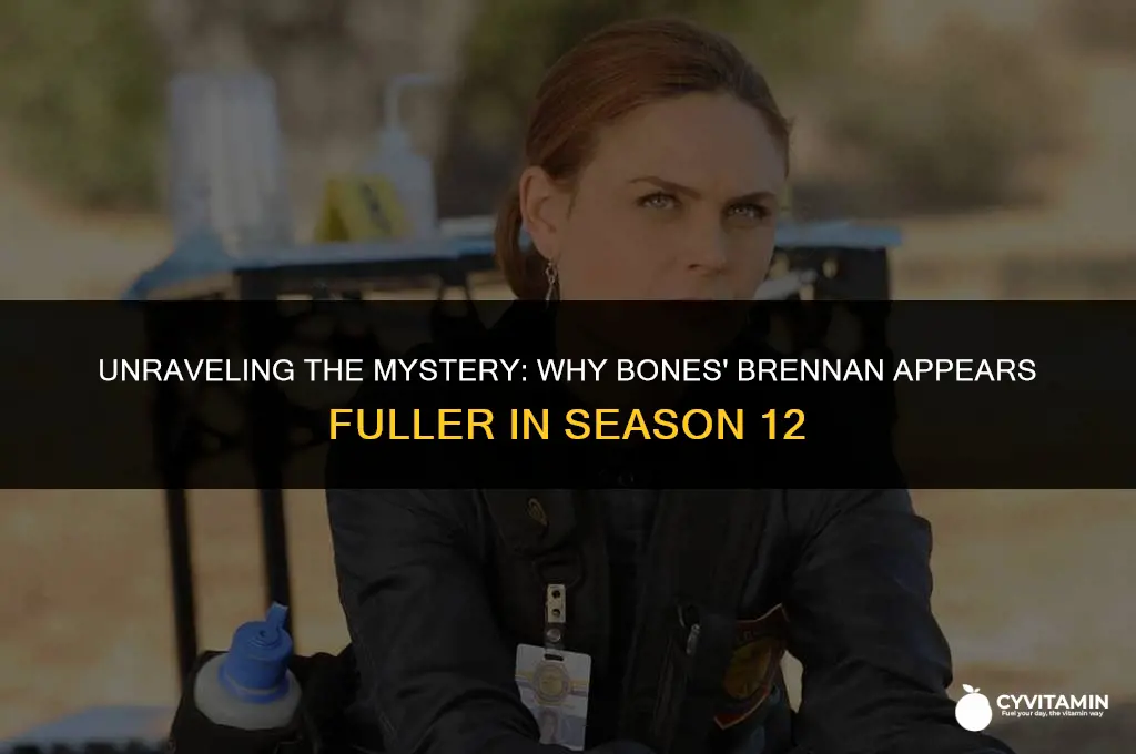 why is bones so fat in season 12