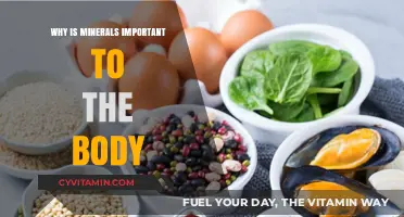 Essential Minerals: Unlocking the Secrets to Optimal Health