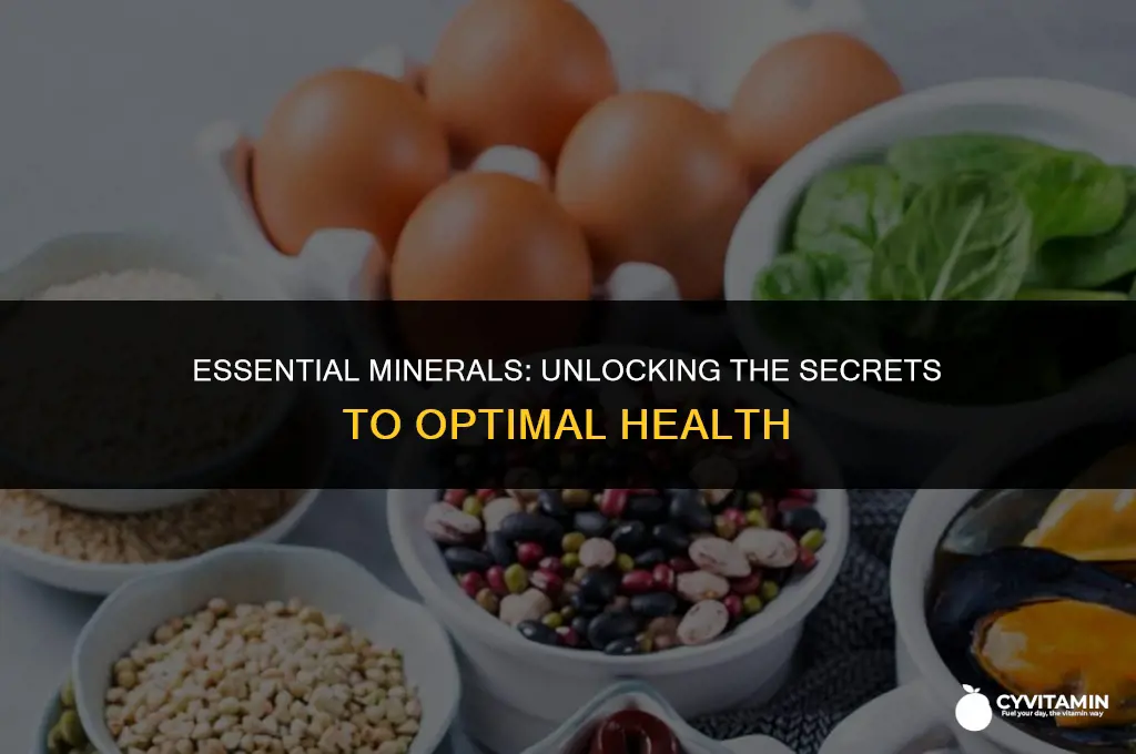 why is minerals important to the body