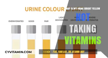 Why Is My Urine Bright Yellow? Exploring Causes Beyond Vitamins