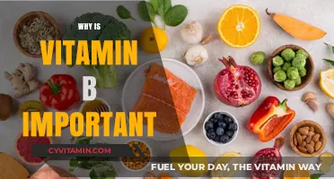 Unlocking the Power of Vitamin B: Essential for Health and Wellness