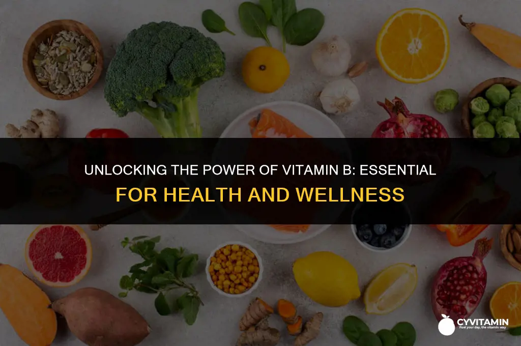 why is vitamin b important
