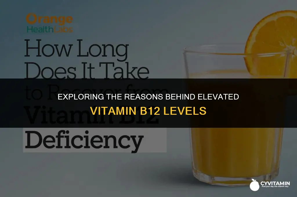 why is vitamin b12 high