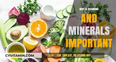 Nourishing Essentials: The Vital Role of Vitamins and Minerals