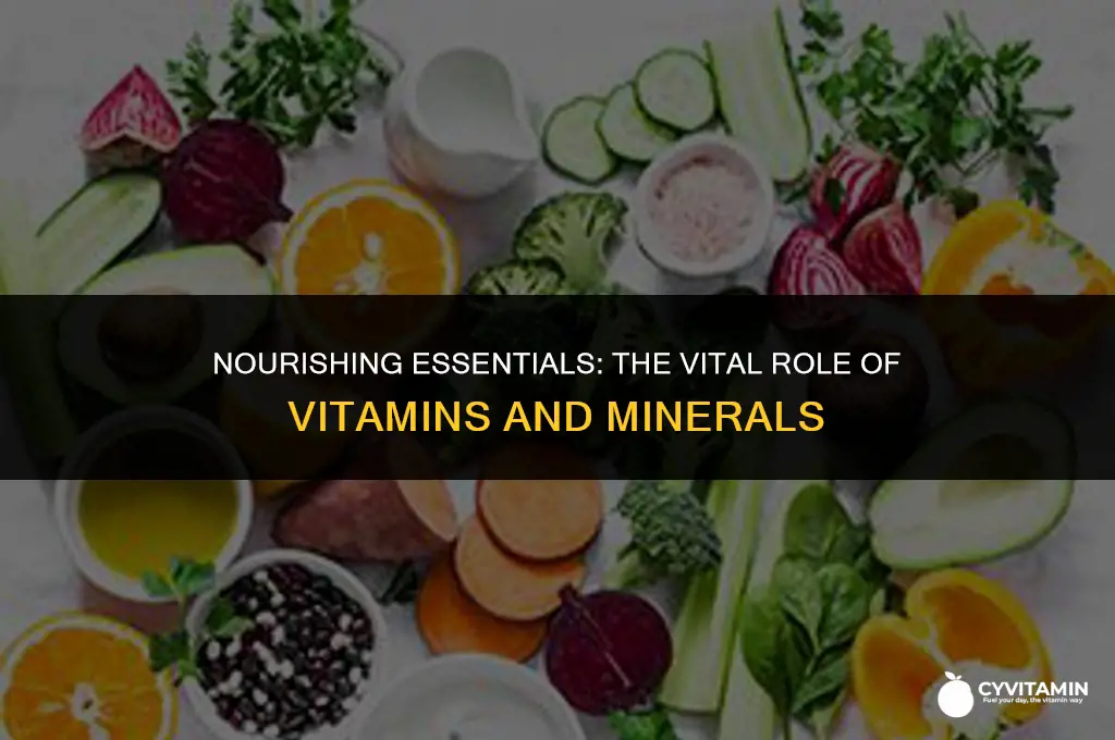 why is vitamins and minerals important