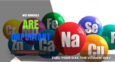 Unlocking the Power of Minerals: Essential Elements for Life