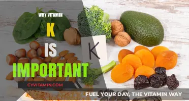 Unlocking the Power of Vitamin K: Essential for Health