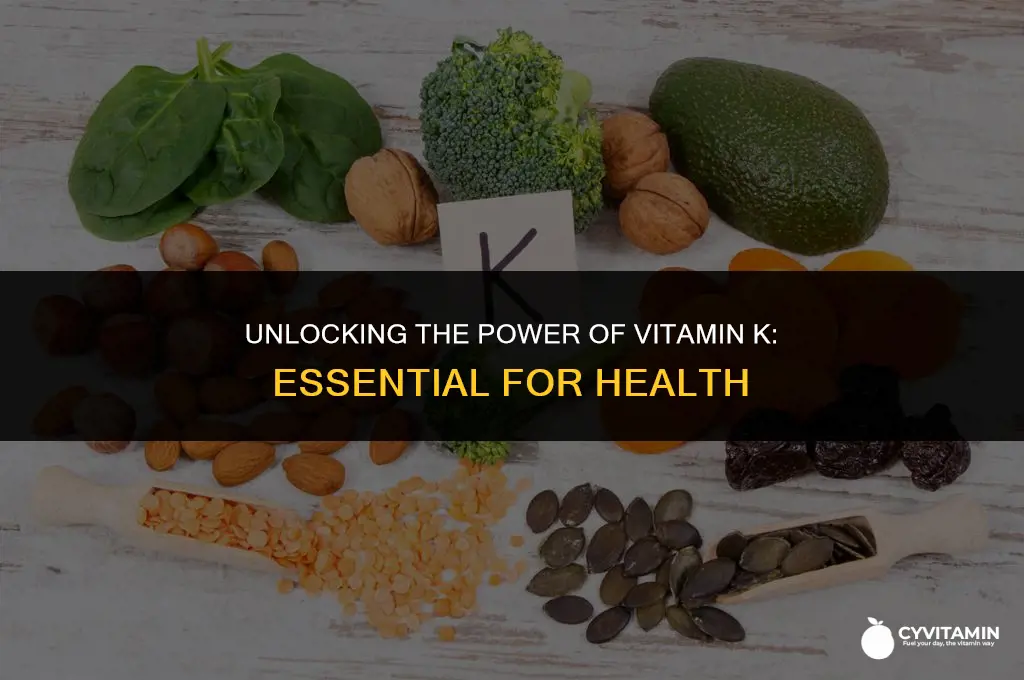 why vitamin k is important